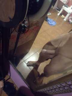 Sexo y video llamada hot - Mar del Plata - Argentina